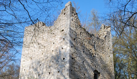 Burgstelle Alt-Wildon. Sog. Pfeil-, Heiden- oder Römerturm