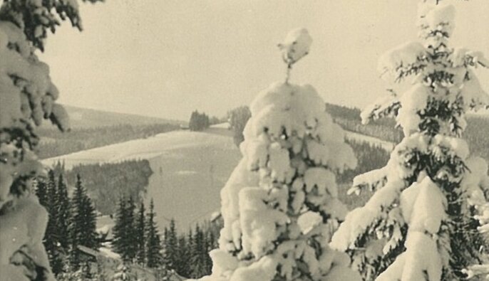 Postkarte mit Foto der tief verschneiten "Waldheimat"
