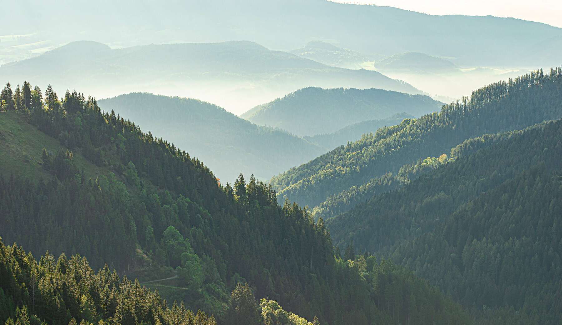 Blick in die Steiermark, Berge und Wälder
